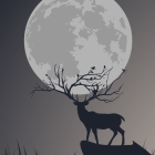 Un fenómeno astronómico que conecta con la naturaleza y la renovación interior.