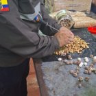 Este era el método de ocultamiento utilizado por los narcotraficantes.