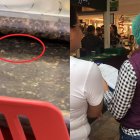 Estas fueron dos de las cucarachas captadas dentro de esa cafetería.