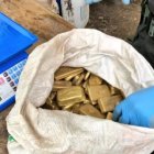 La evasión del impuesto a la renta por algunos empresarios genera dudas sobre la legalidad de sus negocios.