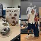 Gemini transforma imágenes en muñecos virtuales listos para compartir en redes sociales.