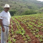 El apoyo económico de $1.000 será entregado una sola vez a quienes cumplan los requisitos.