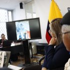 Los miembros de la Comisión de Garantías Constitucionales observaban un video de las protestas.