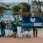 Expertos y autoridades trabajan para construir estadio de béisbol en Parque Samanes