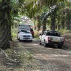 El incidente ocurrió en una comunidad rural de Mocache.