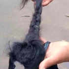 Comuneros de San Roque hallaron dos trenzas cerca del peaje de Cotacachi, en medio de las protestas del Paro Nacional 2025.