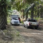 Cinco personas murieron en total durante hechos violentos en menos de 12 horas.