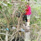 El cuerpo de Eduardo Lara Lara, de 26 años, fue hallado en medio del manglar, enredado en las ramas de los árboles.