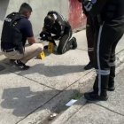 Los gendarmes atendieron aquella alerta registrada en el sur de la ciudad.