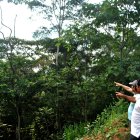 Este suelo orense se caracteriza por una gran cantidad de flores exóticas y reservas naturales con especies endémicas.