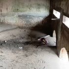 Funda plástica hallada en el ducto de la alcantarilla donde fue encontrado el feto en Playa Las Palmas.