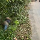 El cuerpo de un hombre fue hallado en la cuneta de la vía La Independencia, cerca del puente sobre el río Blanco.