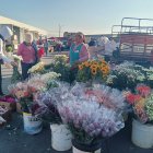 Desde la madrugada. Más de 100 vendedores ofertan rosas desde USD 1,75 en el Mercado América desde el lunes 29 de diciembre.