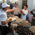 El mercado de la Caraguay es el mayor mercado de mariscos de Guayaquil.
