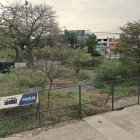 Enrejado y con monte hasta las rodillas permanece el Bosque Urbano Nativo de Sauces 6 .