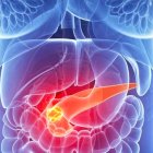 La terapia combinada logró eliminar el tumor en ratones sin generar efectos secundarios adversos.