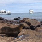 Dos localidades de la provincia de Galápagos celebran sus aniversarios de cantonización