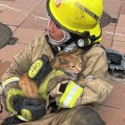 Foto que viralizó a Zandy Zurita en el rescate de aquel gato naranja.