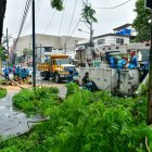 Personal municipal retira árboles y arbustos caídos por las lluvias.