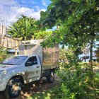 En Jama, Manabí, siete personas fueron acribilladas. Mujeres en el sitio quedaron amarradas.