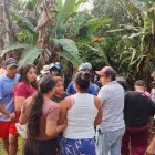 El automotor en que iban los parientes quedó entre una plantación de verdes.