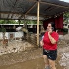 Mayra Santos, representante del albergue Callejeritos SOS, lamenta lo sucedido en el refugio de canes