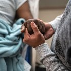 Los beneficiarios o herederos pueden solicitarlos mediante un trámite administrativo.