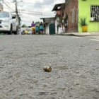 Escena del ataque armado en la cooperativa Jaime Roldós, al sur de Guayaquil.