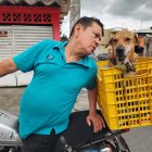 Maluma, el perro motociclista, se roba las miradas mientras recorre Guayaquil junto a su dueño sobre una moto.