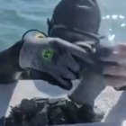 Un equipo de buzos recuperó monedas históricas en Florida, con un valor cercano al millón de dólares tras siglos bajo el mar.