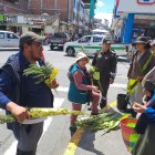 Operativos permitieron decomisar más de 200 kilos de palma de cera en varios cantones de Tungurahua.