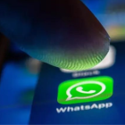 Los celulares afectados no podrán abrir, descargar o actualizar la aplicación