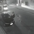 El acto de violencia quedó captado en una cámara de seguridad.