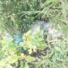 El saco de yute con el cadáver de un hombre en el interior estaba entre la maleza.