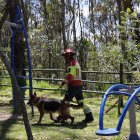Canes de la unidad de Bomberos de Quito también  rastrean la zona.
