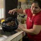 Los cangrejos que había comprado Norma también se dañaron.