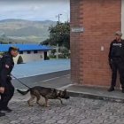 El perro amaestrado ha participado en varios operativos.