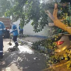 Uno de los carros afectados por la caída de la rama del árbol.
