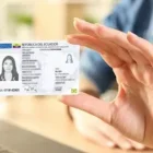 El nuevo distintivo visual consiste en un holograma con forma de flor que integra la figura de un colibrí y el nombre del país