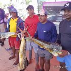 “Participantes del Festival del Dorado 2026 en Muisne muestran orgullosos sus capturas, símbolo de tradición pesquera y riqueza gastronómica del Pacífico.