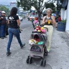 Parte de su exhibición también es un gato de peluche.