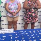 Los adultos fueron aprehendidos y la menor aislada.