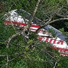 El bus de la Cooperativa Reina del Camino cayó a un barranco de aproximadamente 25 metros