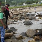 Curiosos observan en Playa Las Palmas la presencia del lobo marino rescatado por bomberos de Esmeraldas, antes de ser devuelto a su hábitat natural.