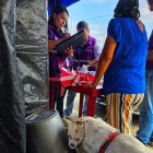 Este lunes 27 de abril, la Agencia Nacional de Regulación, Control y Vigilancia Sanitaria (Arcsa) realizó una intervención en Durán.