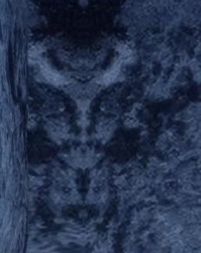 Esta aparente figura sería la que varios internautas compararon con un rostro.