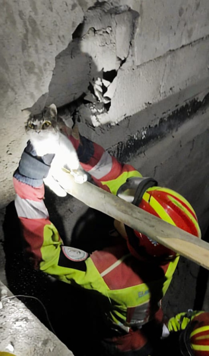 Los bomberos hicieron un trabajo cauteloso para liberar al gatito
