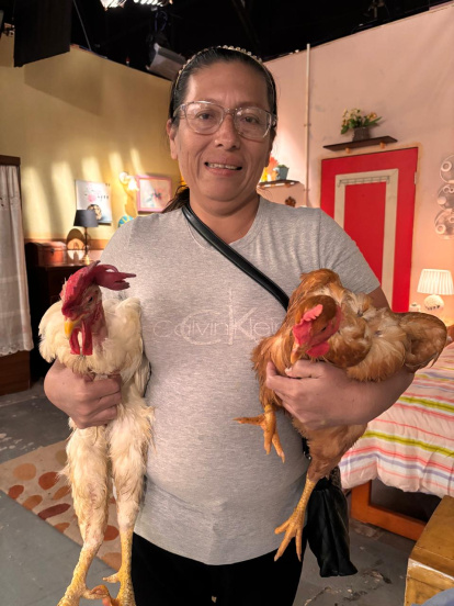 Viviana Mite es la encargada del cuidado de las aves, cuya dueña es su abuelita.

AG-EXTERNOS