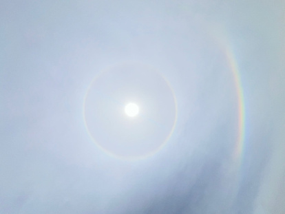 En algunas partes de la urbe se lo puede observar con mayor facilidad.