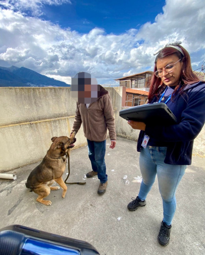 El perrito ya cuenta con una rehabilitación por parte de la UBA.